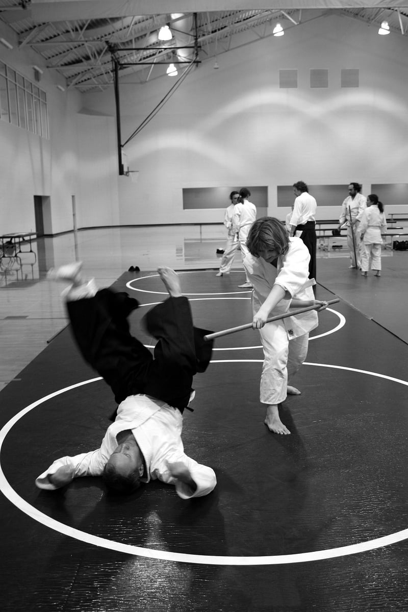 Aikido Image